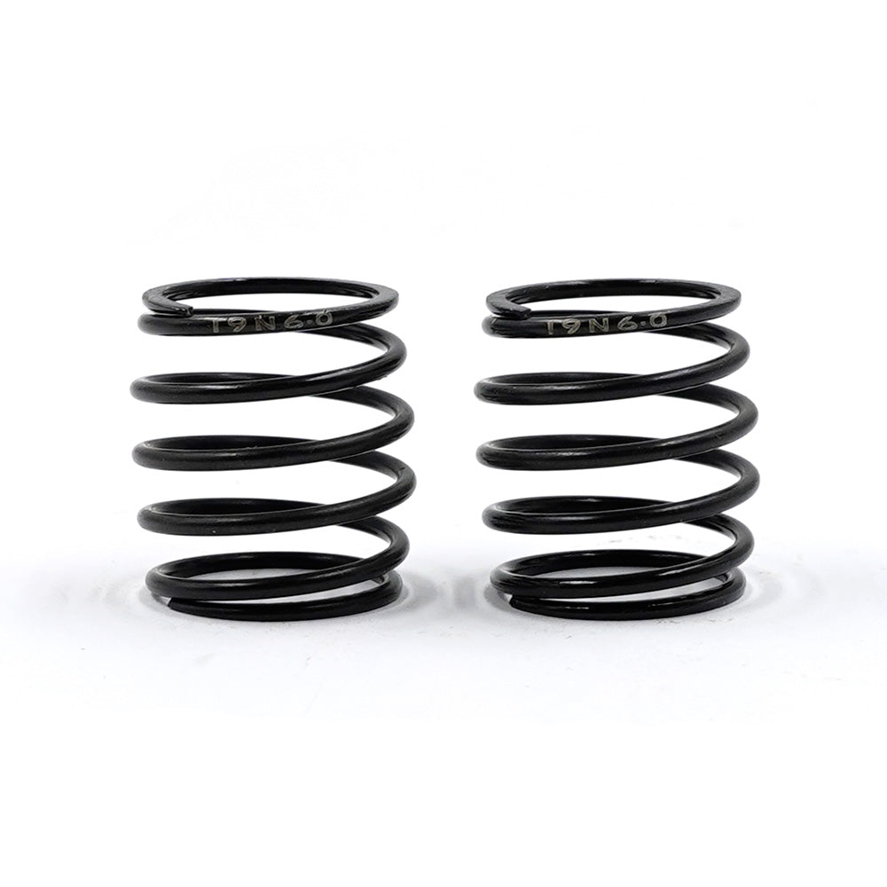 Xpress: 19mm Barrel Springs (2pcs)