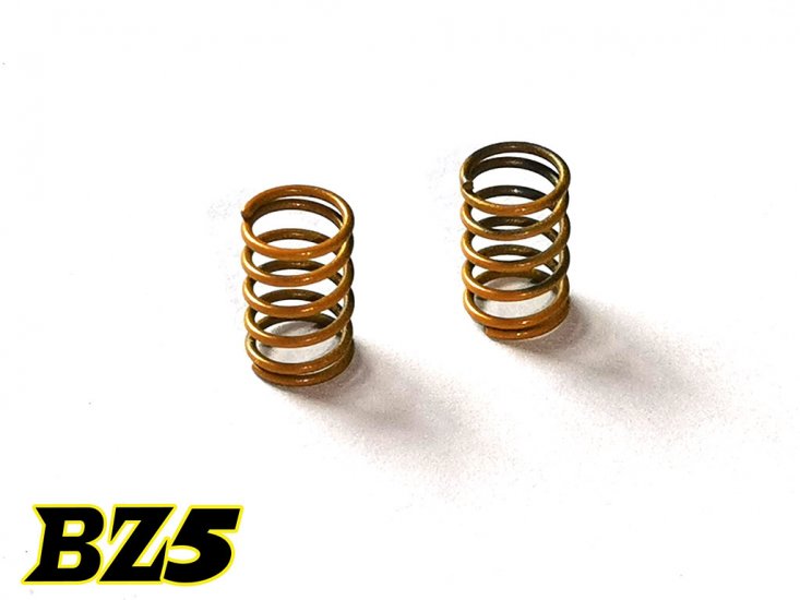 Atomic RC: BZ5 Rear Springs