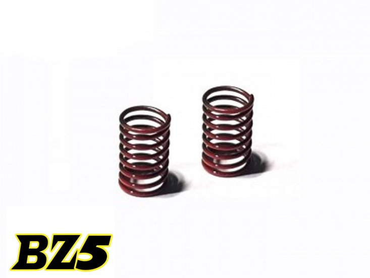 Atomic RC: BZ5 Rear Springs